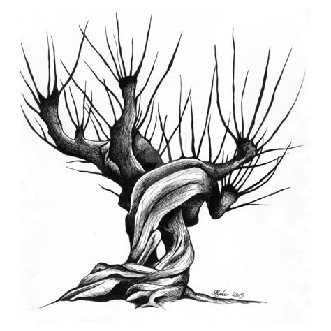 Image result for whomping willow Willow Drawing, Harry Potter Gryffindor Logo, Harry Potter Tree, Thumbprint Tattoo, Harry Potter Creatures, Whomping Willow, Harry Potter Sketch, Harry Potter Castle, Harry Potter Quilt