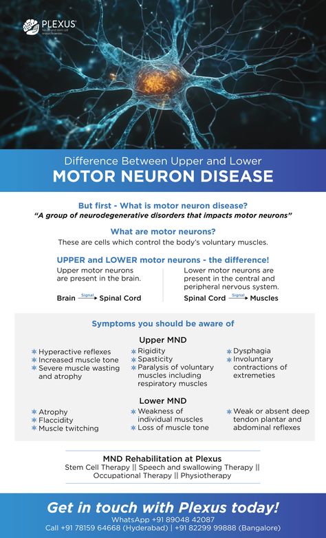 When we receive a Motor Neuron Diagnosis (MND) diagnosis, our first worry is about the extent to which our life is going to change because of the neurodegenerative disorder. Muscle weakness can leave us feeling extremely tired, physically invalid, and even emotionally disturbed. Not being able to perform simple everyday tasks can take a heavy toll on the individual’s mental health. Upper Motor Neuron, Structure Of A Neuron, Neuron Action Potential, Types Of Neurons, Motor Neurone Disease, Neurotransmitters Brain Neurons, Spinal Fluid, Stem Cell Research, Muscle Twitching