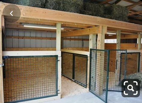 Horse Stall Ideas Cheap, Goat Pens, Inside Slide, Goat Shed, Livestock Barn, Goat Shelter, Goat Pen, Barn Stalls, Goat House