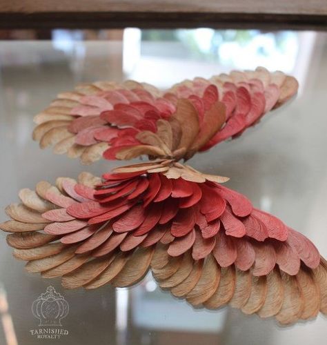 maple seed butterfly art, crafts, diy, flowers, gardening, home decor Seed Craft, Maple Seed, Seed Art, Idea Box, Deco Nature, Butterfly Wall Art, Nature Crafts, Arte Floral, Leaf Art