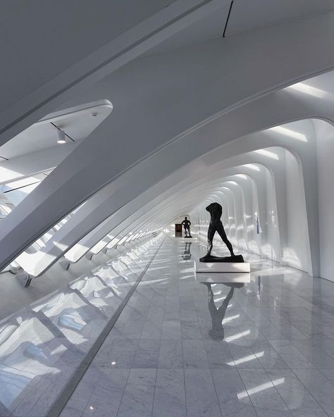 Glass Roof Panels, Art Spaces, Milwaukee Art, Milwaukee Art Museum, Santiago Calatrava, Space Museum, Glass Roof, Roof Panels, Light And Space