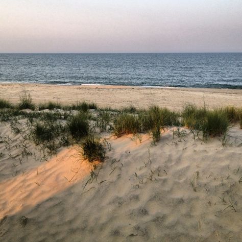 Sandbridge Beach Sandbridge Beach, Beautiful Places To Live, Virginia Beach, Places Ive Been, Stuff To Do, Beautiful Places, Virginia, Paradise, Water