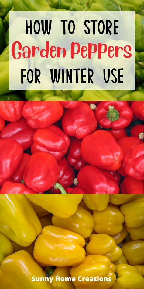 Store Peppers, How To Store Peppers, Winter Canning, Preserving Peppers, Canning Hot Peppers, Long Hot Peppers, Garden Peppers, Canning Peppers, Sweet Pepper Recipes