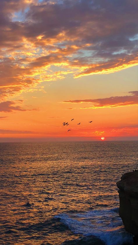 Sunset Cliffs, San Diego CA San Diego Wallpaper, Cliff Sunset, San Diego Aesthetic, Ocean Beach San Diego, San Diego Sunset, Sunset Cliffs San Diego, Sunset Skies, Sunset Cliffs, California Sunset