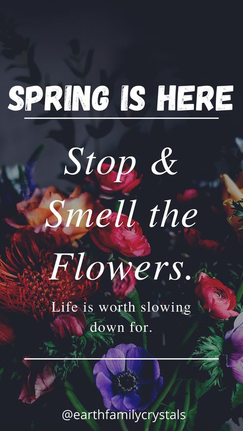 Happy Spring Equinox~! 🌺 🌺 🌺 Spring Equinox, Happy Spring, Spring Is Here, I Cant Even, Inspirational Quotes, In This Moment, Quotes, Quick Saves