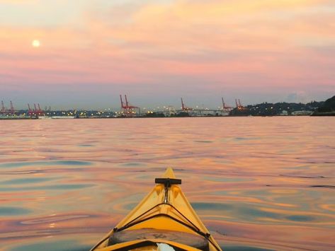 Alki Kayak Tours | Kayak Tours, Classes, & Rentals - Seattle, WA Sea Kayak, Seattle City, West Seattle, Marine Ecosystem, Kayak Tours, Sunset Sea, Sea Kayaking, History Projects, Human History