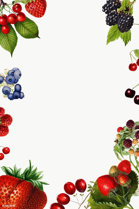 Hand drawn mixed berries frame design element | premium image by rawpixel.com / nap Berry Background, Mix Berry, Wallpaper Food, Fruit Png, Baby Art Projects, Note Writing Paper, Raspberry Fruit, Fruit Wallpaper, Theme Background