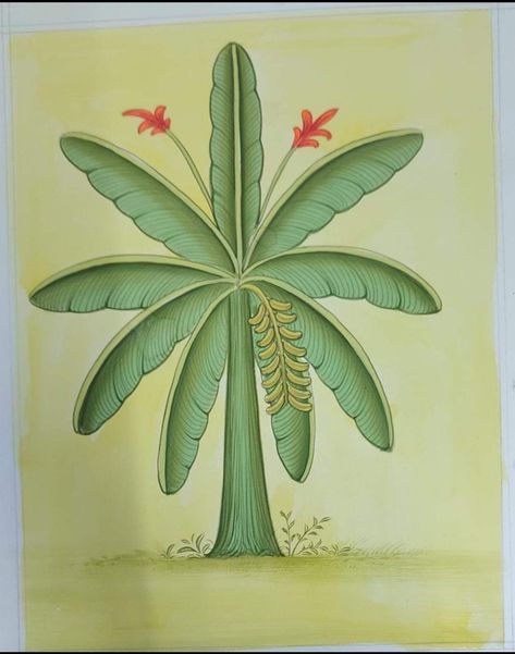 Tree Of Life Pichwai, Pichwai Banana Tree, Pichwai Tree, Banana Tree Wallpaper, Pichwai Wallpaper, Pichwai Prints, Pichvai Painting, Mughal Miniature, Phad Painting