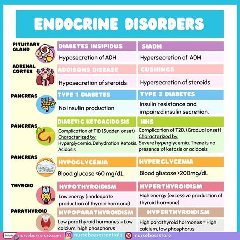 Nurse Vicky | RN, MN, PhDN(c) on Instagram: “To the nursing student struggling with endocrine disorders, this is for you! Save this post for your next study session. . . . . .…” Endocrine System Nursing, Pathophysiology Nursing, Nursing School Studying Cheat Sheets, King Abdulaziz, Nursing School Essential, Nursing School Motivation, Nurse Study Notes, Endocrine Disorders, Nursing Mnemonics