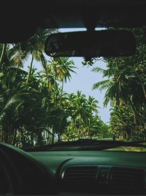 Island Vibes, Summer Feeling, Summer Dream, Beach Aesthetic, Nature Aesthetic, Pretty Places, Beach Vibe, Island Life, Green Aesthetic