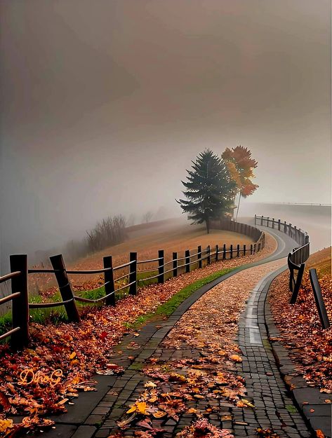 Beautiful Scenery Photography, Autumn Scenes, Winding Road, Autumn Scenery, Autumn Beauty, Fall Pictures, Beautiful Nature Wallpaper, Autumn Landscape, Autumn Aesthetic