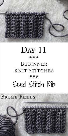 Seed Stitch Rib Knit Stitch : Day 11 of the 21 Days of Beginner Knit Stitches : Brome Fields : #21daysofbeginnerknitstitches Beginner Knit, Knitting Terms, Beginner Knitting Patterns, Knit Stitches, Start Knitting, Knitting Instructions, Seed Stitch, Scarf Knitting Patterns, Knit Stitch Patterns