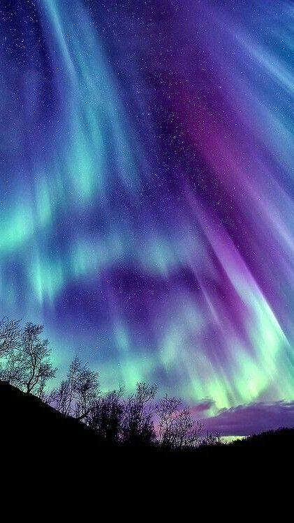 Northern Lights Tattoo, Northern Lights Wallpaper, Northern Lights Art, Northern Lights Photography, Northern Lights Painting, Northern Lights (aurora Borealis), Aurora Borealis Northern Lights, See The Northern Lights, Lit Wallpaper