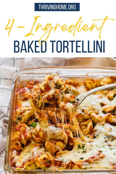 Need a super easy 4-ingredient dish for dinner? Baked Tortellini (with sneaky spinach to up the nutrition) is it. This comforting casserole is the perfect weeknight meal! Baked Cheese Tortellini is a simple vegetarian pasta. It’s meatless but cheesy and oh-so-filling. Plus, it’s also a great way to use up leftover fresh spinach. Healthy Tortellini Meal Prep, Baked Tortellini Casserole Alfredo, Tortolini Recipe, Easy Baked Tortellini, Baked Cheese Tortellini, Baked Tortellini Recipes, Baked Tortellini Casserole, Cheese Tortellini Recipes, Baked Tortellini