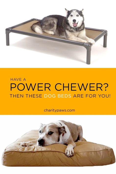 Chew Proof Dog Bed, Bed Options, Durable Dog Bed, Elevated Dog Bed, Elevated Bed, Orthopedic Dog Bed, Rescue Dog, Long Run, Dog Beds