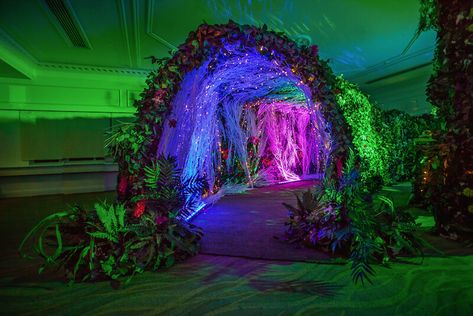 Enchanted Woodland theme walkway, to wow your guests as they enter your themed event. Fairy lights lead the way, with faux moss and greenery to set the scene for your day or night event. Fantasy Event Decor, Enchanted Night Theme, Enchanted Forest Entrance, Enchanted Forest Event, Fantasy Themed Party, Enchanted Garden Theme, Enchanted Forest Prom, Tunnel Entrance, Enchanted Forest Party