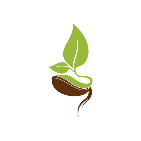 logo icons,plant,icon,vector,seed,logo,leaf,organic,symbol,nature,design,green,natural,grow,growth,agriculture,fresh,food,sign,ecology,farm,illustration,element,eco,concept,sprout,garden,simple,environment,graphic,flower,isolated,health,creative,bio,tree,life,template,flat,growing,gardening,flora,soil,company,botany,business,vegan,line,floral,bean,product Sprout Logo, Seed Logo, Plant Logos, Agriculture Logo, Logo Illustration Design, Plant Icon, Eco Logo, House Logo Design, Farm Logo