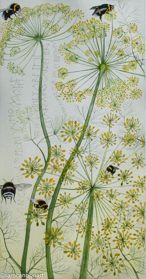 Sam Cannon, Colour Challenge, Cow Parsley, A Dandelion, Marcel Proust, Bee Art, Valerian, Online Gallery, Botanical Illustration