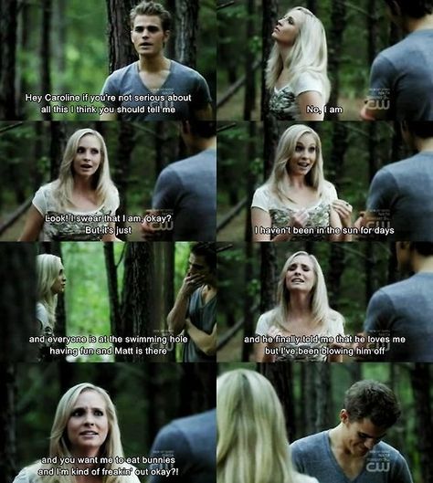 vampire diaries Stephen Salvatore, The Vampire Diaries Quotes, Stefan And Caroline, Vampire Diaries Memes, Vampier Diaries, The Vampire Diaries 3, Vampire Diaries Quotes, Vampire Diaries Damon, Vampire Diaries Funny