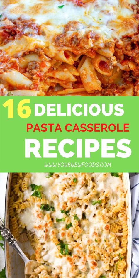 Your New Foods, 16 Delicious Pasta Casserole Recipes. Make these easy casserole recipes for dinner or lunch these must-try casserole dishes have you covered. Refrigerated Pasta Recipes, Premade Pasta Meals, Easy Pasta Dish For Large Group, Hot Pasta Dishes Easy Dinners, Pasta Dishes For Party, Casserole Recipes For Dinner Pasta, Make Ahead Pasta Dishes For A Crowd, Easy Italian Casserole Recipes, Pasta Recipes Casseroles