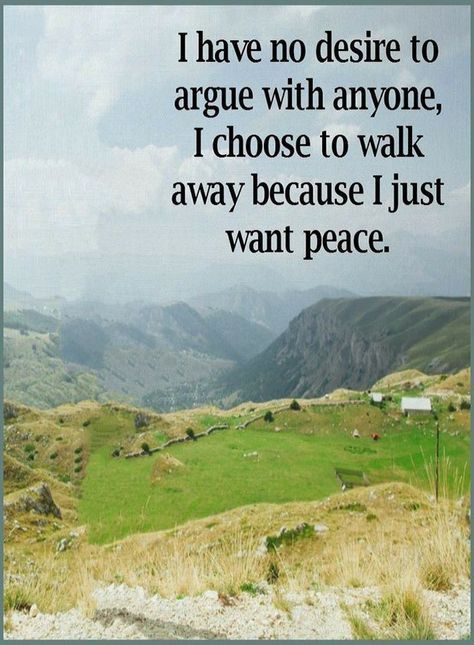 Quotes I have no desire to argue with anyone, I choose to walk away because I just want peace. No Peace Quotes, No Arguments Quotes, Quotes Arguments, Family Argument Quotes, Im At Peace Quotes, Argue Quotes, Arguments Quotes, Arguing Quotes, Argument Quotes