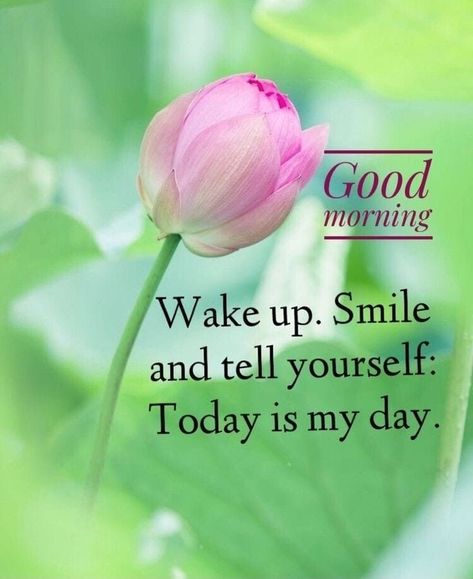 Thoughtful Tuesday, Morning Encouragement, Inspirational Good Morning Quotes, Happy Tuesday Morning, Good Morning Images With Quotes, Morning Massage, Quotes To Start Your Day, Good Morning Massage, Better Version Of Yourself