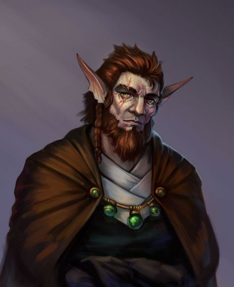 Firbolg Character Design, Firbolg Male, Firbolg Art, Dungeons And Dragons Races, Dnd Druid, Dnd Races, Fantasy Races, Dungeons And Dragons Characters, Dnd Art