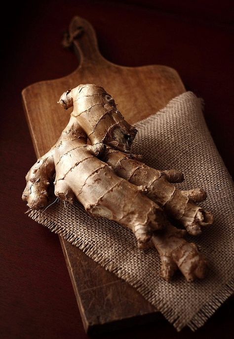 Ginger Root | da Xiaolu // 6 Bittersweets Gmo Foods, Ginger Benefits, Poor Circulation, Healing Food, Ginger Root, Healing Herbs, Natural Medicine, Health Remedies, Herbal Remedies