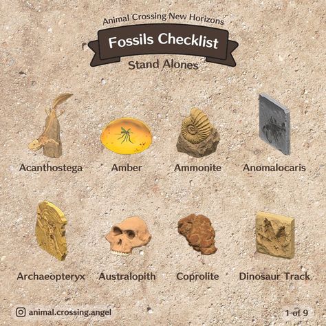 angel on Instagram: “🦕 fossils checklist updated from an older post. they’re separated by amount of pieces to complete each set~⁣ ⁣ let’s help each other…” Acnh Events, Fossil Ideas, Colorful Quilts Patterns, Acnh Tips, Acnh Items, Animal Crossing New Horizon, Acnh Inspiration, Dinosaur Tracks, Animals Crossing