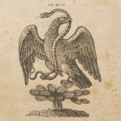 Vintage eagle engraving advertising cut. #typehunter #typeresearch Vintage Eagle Illustration, Mind Shift, Vintage Reference, Hawk Tattoo, Heraldry Design, Flash Ideas, Mexican Art Tattoos, Eagle Drawing, Medieval Artwork