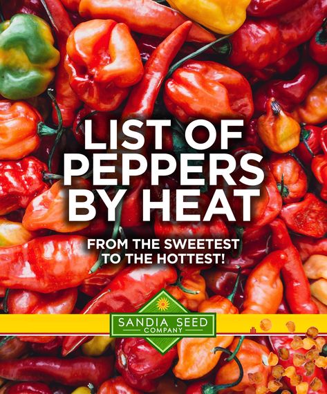 List of Peppers by Heat Hot Pepper Chart, Datil Pepper, Hot Peppers Plants, Growing Hot Pepper, Hot Pepper Recipes, Carolina Reaper Pepper, Types Of Peppers, Growing Peppers, Kitchen Gardens