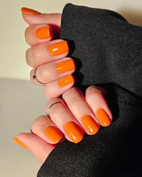 hello, my right hand has made an appearance again, swipe for the vid! 👋🧡 Ft. @gelcare.official Orange Leather, Base Coat & Top Coat #orangenails #summer #shortnails #spring #shorties #squovalnails #weddingguest #burntorange #pinterestnails #shortnailinspo #sodaonmylips #swatchnails #velvetdynasty #torontonails #nailinspo #gelpolish #inbeautmag #nailstagram #springnails #warmorange #gelnails #classy #2024nails #ongles #uñas #cute #aesthetic Orange. Get ready with me. Wedding nails. Wedding... Uñas Cute, Bright Orange Nails, Year Nails, Orange Nail Polish, Aesthetic Orange, Squoval Nails, Minimal Nails, Get Ready With Me, Nails Wedding