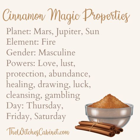 Cinnamon Magic Properties, Ritual, and Medicinal Uses Magic Properties Of Cinnamon, What Is Cinnamon Good For Witchcraft, What Does Cinnamon Do In Witchcraft, Cinnamon Stick Witchcraft, Cinnamon Properties Magic, Magical Properties Of Cinnamon, Cinnamon Spiritual Meaning, Cinnamon In Witchcraft, Cinnamon Witchcraft Uses