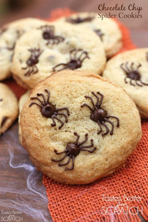 Update chocolate chip cookies by adding frosting around the chips, drawing lines to create spooky spider legs all over. Get the recipe at Tastes Better from Scratch. Snack Halloween, Halloween Fingerfood, Biscuits Halloween, Halloween Finger Foods, Easy Halloween Cookies, Halloween Cookie Recipes, Spider Cookies, Tastes Better From Scratch, Halloween Foods