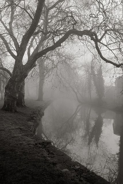 . Victorian Gothic Aesthetic, Foggy Day, Southern Gothic, Gothic Aesthetic, Gothic Horror, Victorian Gothic, Black And White Photography, Dark Aesthetic, Landscape Photography