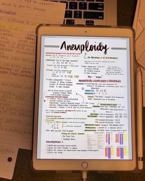 Rewriting Notes, Ipad Notes, College Notes, Aesthetic Notes, School Organization Notes, Notes Organization, Pretty Notes, Notes Inspiration, College Study