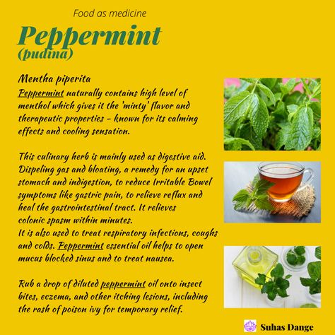 🍃 Add dry Peppermint leaves or a few drops of peppermint essential oil to your bath water. You can put a few drops of peppermint essential oil on your pillow for medicinal purposes 🍃 Add fresh peppermint leaves to your fresh juices, lemonade or smoothies or sprinkle on fresh homemade pizza. Mint sauce, jelly and chutney are popular items of cuisine. Mix in Peppermint leaves to your salad, crush them to add to greek yogurt or hot soups Fresh Juices, Mint Sauce, Culinary Herbs, Peppermint Leaves, Bath Water, Upset Stomach, Hot Soup, Fresh Juice, Peppermint Essential Oil