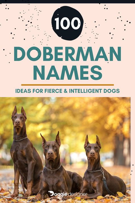 Doberman Dog Names, Doberman Names, Strong Dog Names, Best Female Dog Names, German Dog Names, Brown Doberman, Mini Doberman, European Doberman, Boy Dog Names