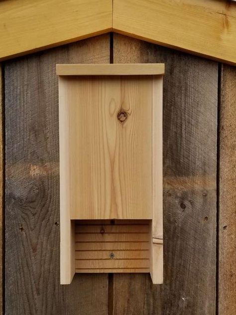 Bat Houses Diy How To Build, Bat Box Plans, Bat House Diy, Build A Bat House, Bat House Plans, Bat Box, Bat House, Mosquito Control, Diy Chicken