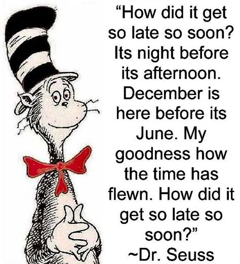 How Did It Get So Late So Soon? It's Night Before It's Afternoon... December Is Here Before It's June... My Goodness, How The Time Has Flown... How Did It Get So Late So Soon?? ~ Dr. Seuss Dr Seuss Quotes, The Cat In The Hat, Seuss Quotes, What Have You Done, Dr Suess, Cat In The Hat, Day Quotes, Time Quotes, Quotable Quotes