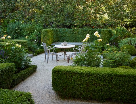 Elizabeth Everdell Garden Design Walled Gardens, Boxwood Garden, Garden Pathways, Courtyard Ideas, Small Courtyard, Courtyard Gardens Design, European Garden, Garden Inspo, Formal Garden