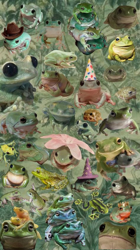 #frog #frogs4life #fyppppp #wallpapercollage Pet Frogs, Frog Wallpaper, Frog Art, Hippie Wallpaper, Frog And Toad, Silly Animals, Draw Something, Aesthetic Pictures, Wallpaper Backgrounds