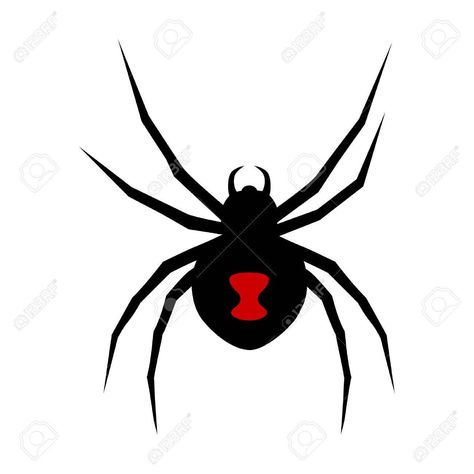 Radioactive spider Spider Ideas, Radioactive Spider, Insects, Spiderman, Party Ideas, Quick Saves