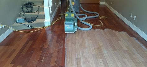 Bleach Your Brazilian Cherry (Jatoba) Hardwood Floors — Fournier Finishing - Wood Floors, Stairs & Trim Brazilian Wood Floors, Staining Brazilian Cherry Floors, Refinish Cherry Floors, Bleached Brazilian Cherry Floors, Brazilian Hardwood Floors, Refinish Brazilian Cherry Floors, Wood Floors Stairs, Refinish Stairs, Brazilian Cherry Hardwood Flooring