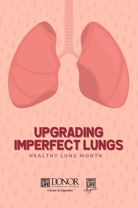 Did you know that the demand for lung transplants exceeds the number of donated ones? Through new technology called ex-vivo lung perfusion (EVLP), 40% of lungs that typically go unutilized could still save lives. Read more at https://www.dnaz.org/upgrading-imperfect-lungs-healthy-lung-month/. Lung Exercises For Pneumonia, Function Of Lungs, Auscultation Lungs, Healthy Lungs Vs Smokers Lungs, Lung Segments, Lung Transplant, Healthy Lungs, Face Pores, Organ Transplant