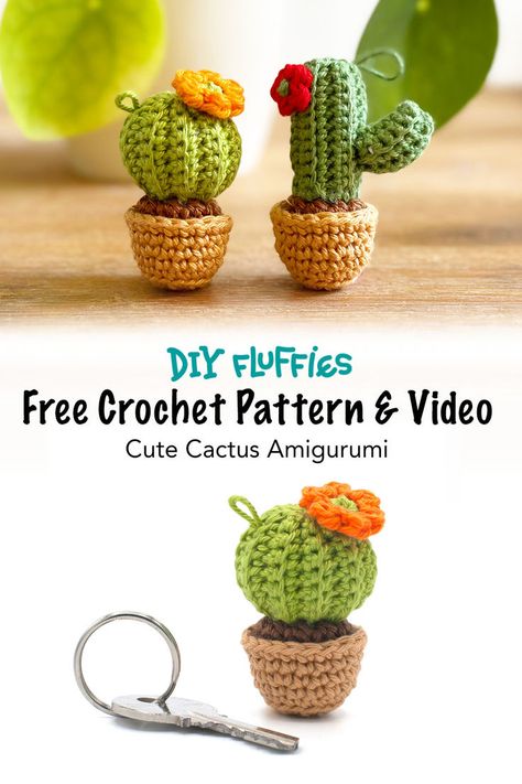 Making amigurumi succulents will allow you to enjoy these adorable plants forever! Try these free crochet patterns. Great keychain size Crocheted Cactus Pattern, Small Crochet Cactus, Crochet Pattern Succulent, Crochet Prickly Pear Cactus Free Pattern, Crochet Plant Keychain Free Pattern, Crochet Plant Amigurumi Free Pattern, Crochet Cactus Flower, Plant Amigurumi Free Pattern, Amigurumi Cactus Free Pattern