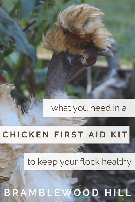 Chicken First Aid Kit - Bramblewood Hill Silkie Rooster, Peroxide Uses, Hydrogen Peroxide Uses, Backyard Chicken Coop Plans, Large Dog Crate, Chicken Garden, Dairy Goats, Chicken Coop Plans, Backyard Chicken Coops