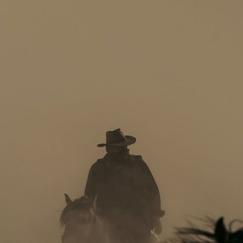 Earth on Instagram: "“The cowboys of Cappadocia. These are all wild horses, and they are only still here because of these guys. The area these photos were taken in has been sought after by industrial factories. These cowboys have fought hard to keep this land to keep the horses wild. You’ve likely seen pictures of tourists standing in heards of horses in Cappadocia, most of them are shot here. Every afternoon the cowboys go out into the valley to rangle all the horses up and bring them in for the tourists who paid to come get their picture taken with them. They created a business out of the wild horses to keep the land free.” – Josiah William Gordon
cc: @josiahwg" Lone Cowboy Aesthetic, Cowboy Core Aesthetic, Cowboy Asthetic Picture, Dark Cowboy, Cowboy Core, 90s Cowboy, Cowboy Aesthetic, Dead Man Walking, Arthur Morgan