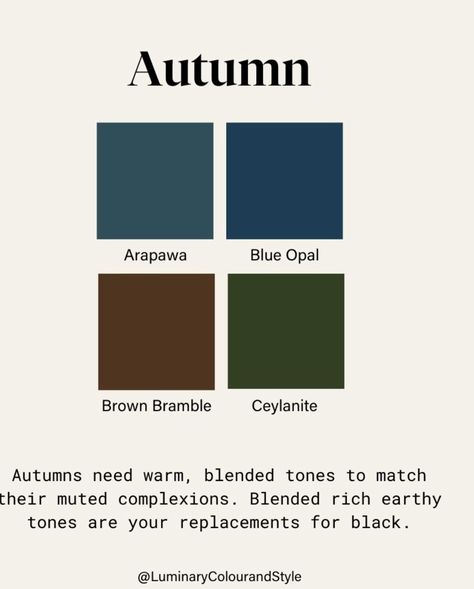 Dark Teal Color Combinations, Teal Color Combinations, Dark Teal Color, Dark Autumn, Autumn Colors, Teal Color, Dark Teal, Teal Colors, Earthy Tones