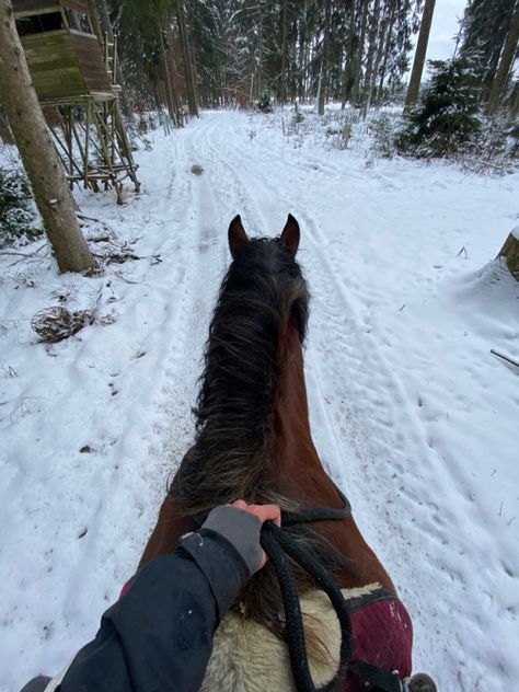 horse, horses, noriker horse, noriker, bare back, riding, eventing, trail ride, trail riding, riding, winter, January, 2022 dream, cold outdoor, western girl, country style, iPhone 11 camera, riding boot, brown horse, bay horse, cute horse, big horse, kaltblüter, Pferd, Pferde, Ausritt, Winter Ausritt, Schnee Ausritt, Schnee, Januar, winter wonderland Noriker Horse, Horse Girl Aesthetic, Dr Aesthetic, Horsey Life, Horse Riding Aesthetic, Winter Horse, Equestrian Aesthetic, Riding A Horse, Cute Horse Pictures